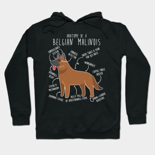 Red Mahogany Belgian Malinois Dog Anatomy Hoodie